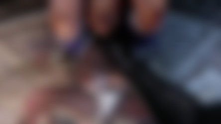 Nagoonimation/50. Kasumi vs Raidou [Male VA].mp4