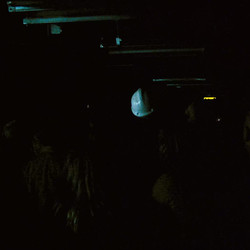 28.Weeks.Later.2007.1080p.BluRayRip.EAC3.5.1.x265-Lootera